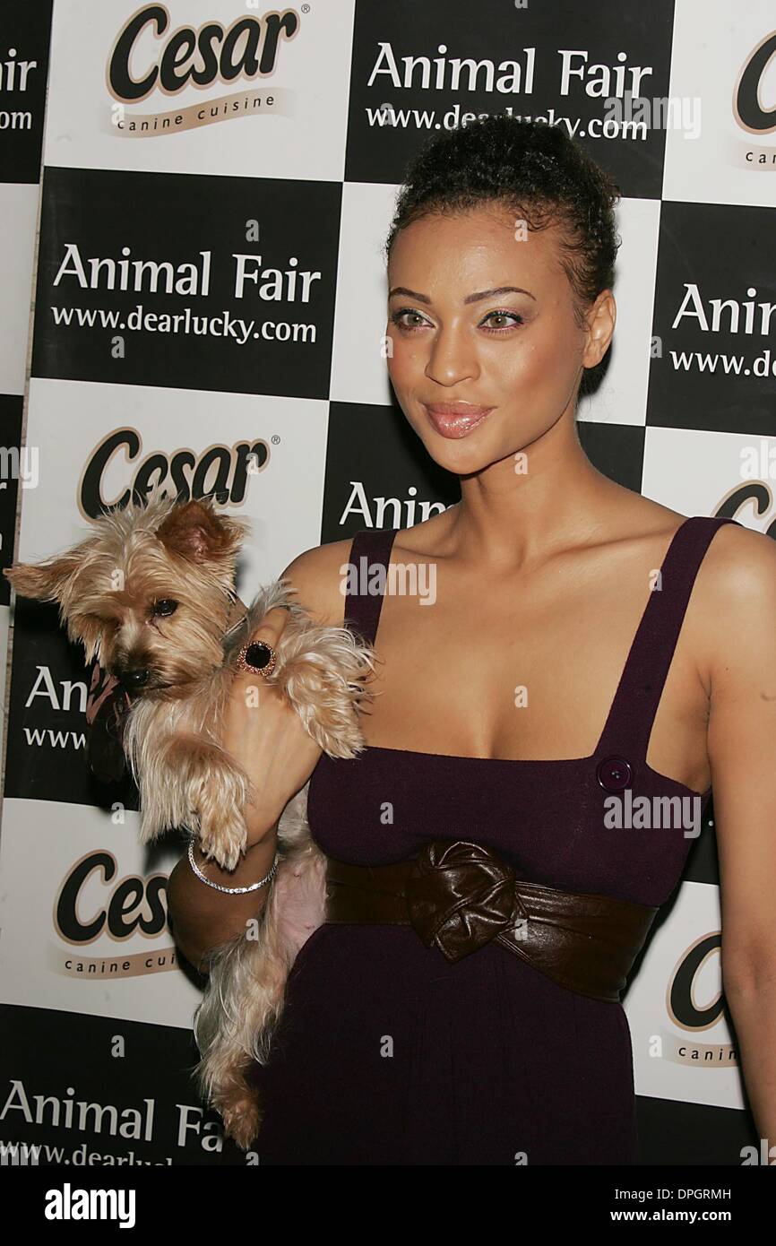 Giugno 11, 2006 - New York New York, Stati Uniti - Fiera di animali rivista ''zampe per stile'' BENEFICIARE A ARENA DISCOTECA.WEST 41ST STREET 06-11-2007. 2007.Model.K53449RM.(Immagine di credito: © Rick Mackler/Globe foto/ZUMAPRESS.com) Foto Stock