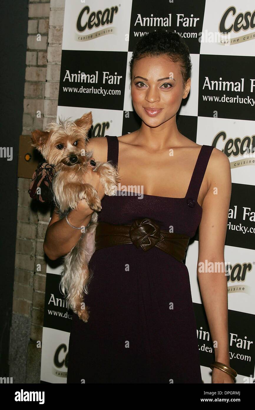 Giugno 11, 2006 - New York New York, Stati Uniti - Fiera di animali rivista ''zampe per stile'' BENEFICIARE A ARENA DISCOTECA.WEST 41ST STREET 06-11-2007. 2007.Model.K53449RM.(Immagine di credito: © Rick Mackler/Globe foto/ZUMAPRESS.com) Foto Stock