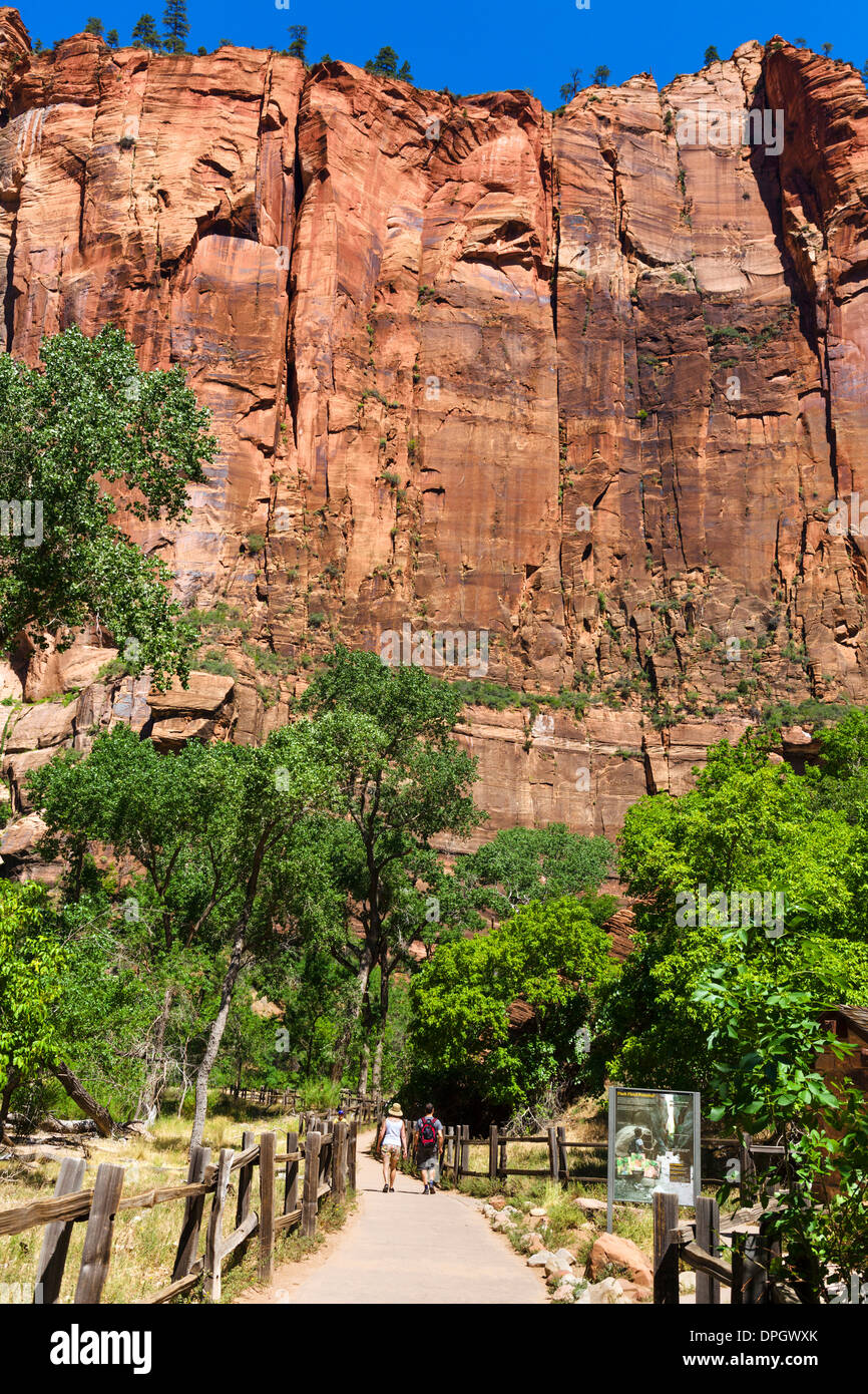 Walkers sul Riverside Walk al tempio di Sinawava, Zion Canyon Zion National Park, Utah, Stati Uniti d'America Foto Stock