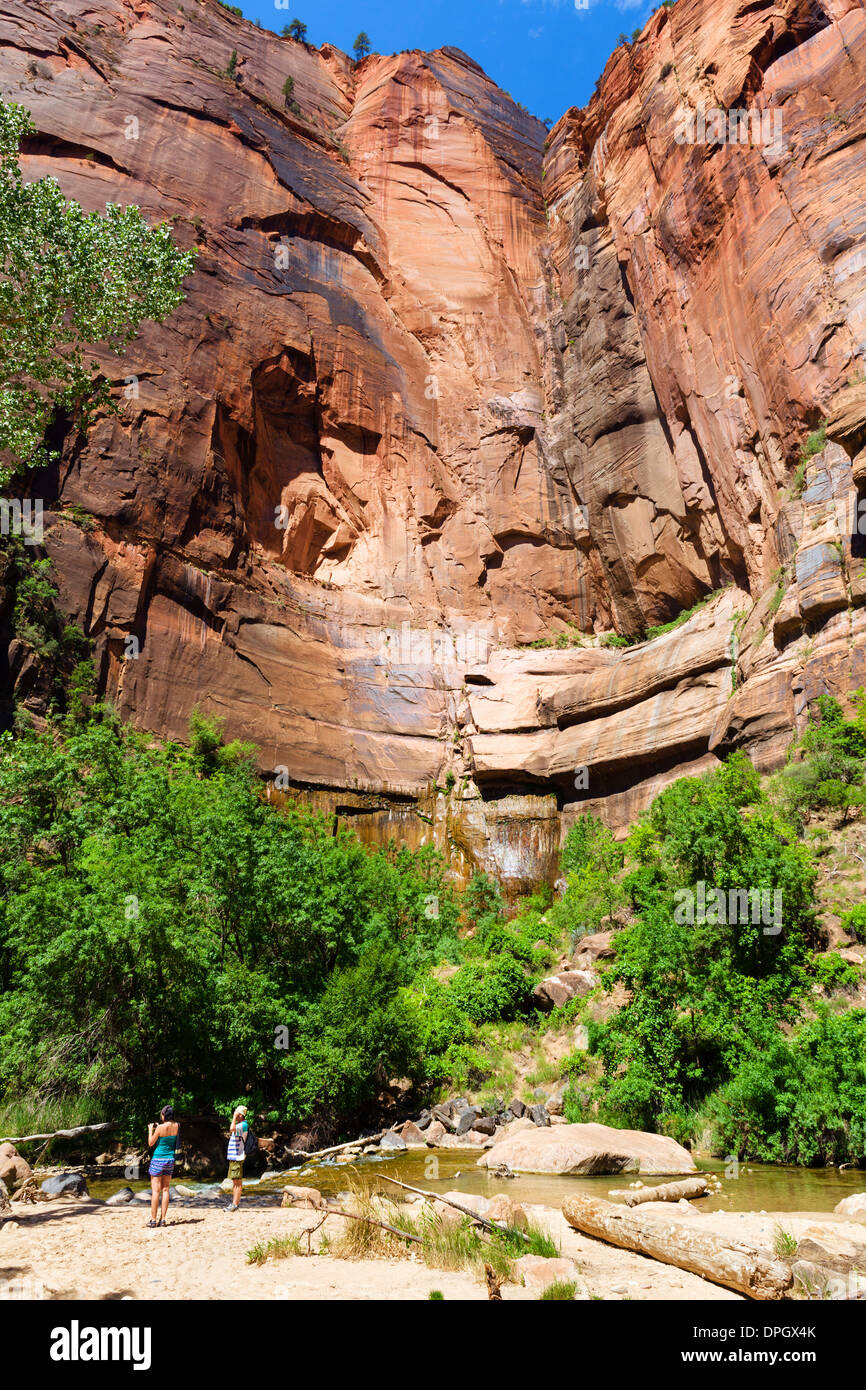 Gli scuotipaglia dal fiume vergine in Riverside Walk al tempio di Sinawava, Zion Canyon Zion National Park, Utah, Stati Uniti d'America Foto Stock