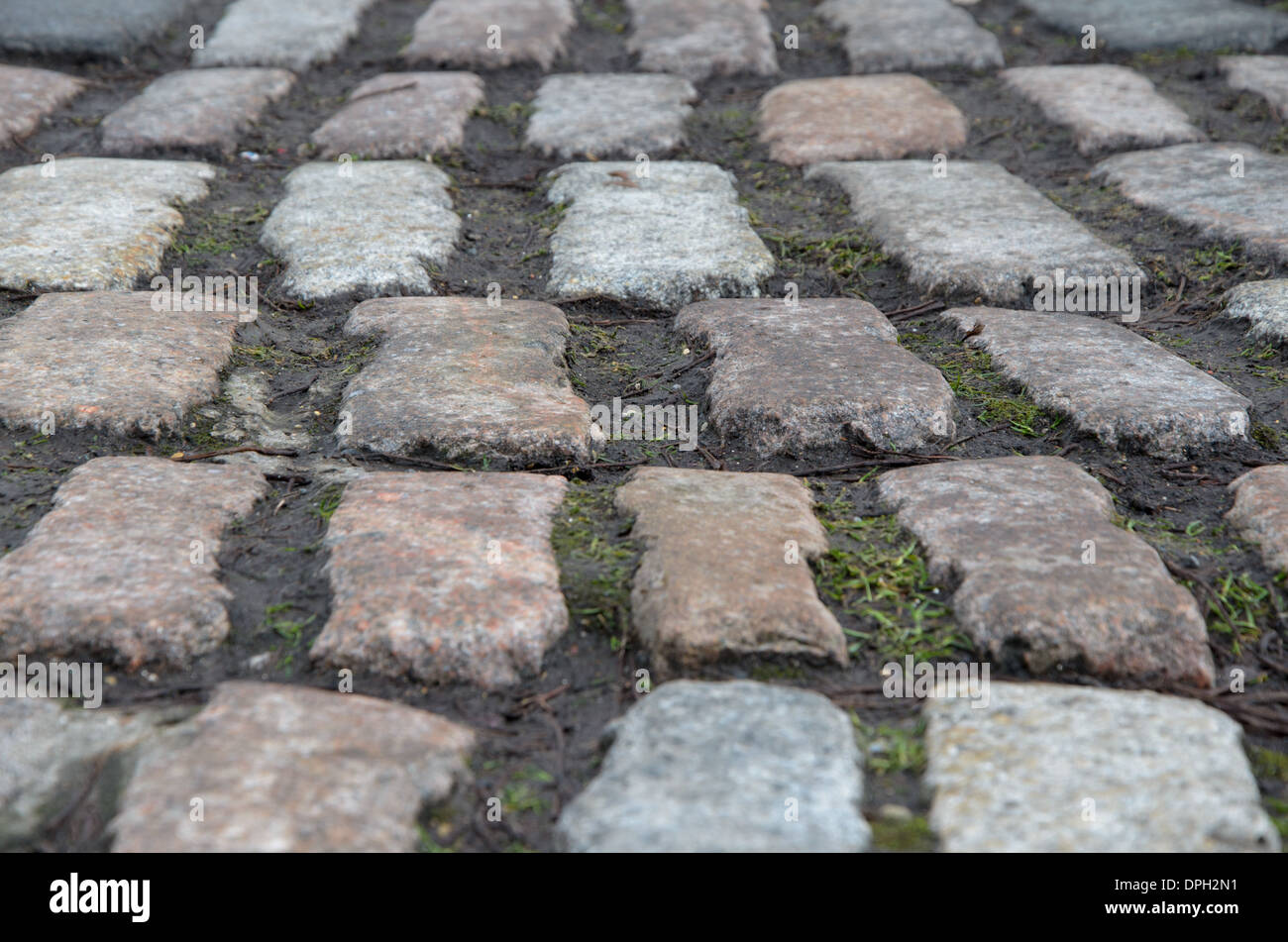 Di ciottoli di blocchi di pietra utilizzata come texture di superficie per pavimentazione sentiero Foto Stock