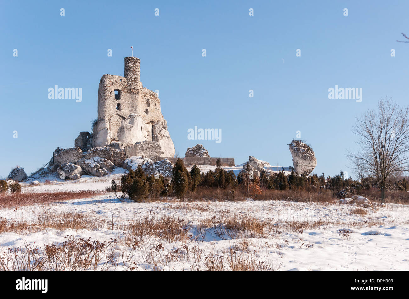 Rovine del Castello di Mirow in inverno, Polonia Foto Stock