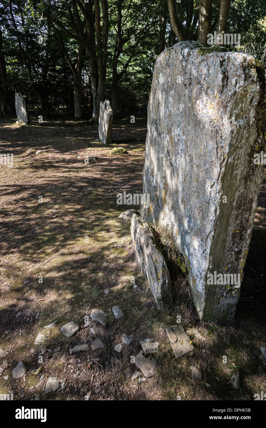 La sepoltura del neolitico Cairns a Clava Cairns nelle vicinanze Culloden in Inverness-shire in Scozia. Foto Stock