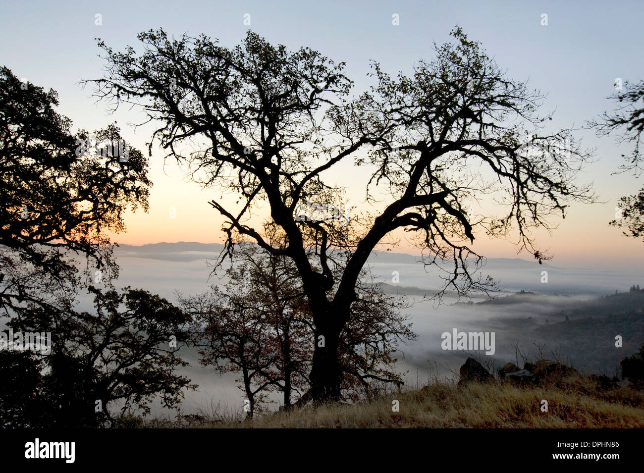 Alba a Mendocino County Foto Stock