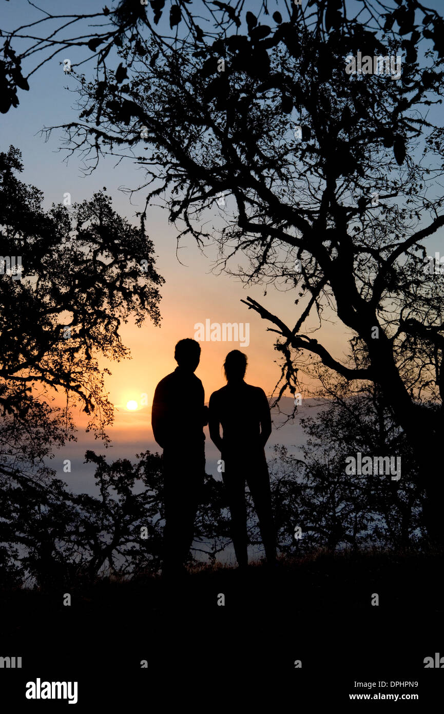 Giovane godendo lo scenario in Mendocino County, California Foto Stock