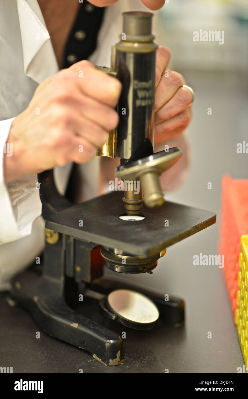 Vintage microscopio Leitz Foto Stock