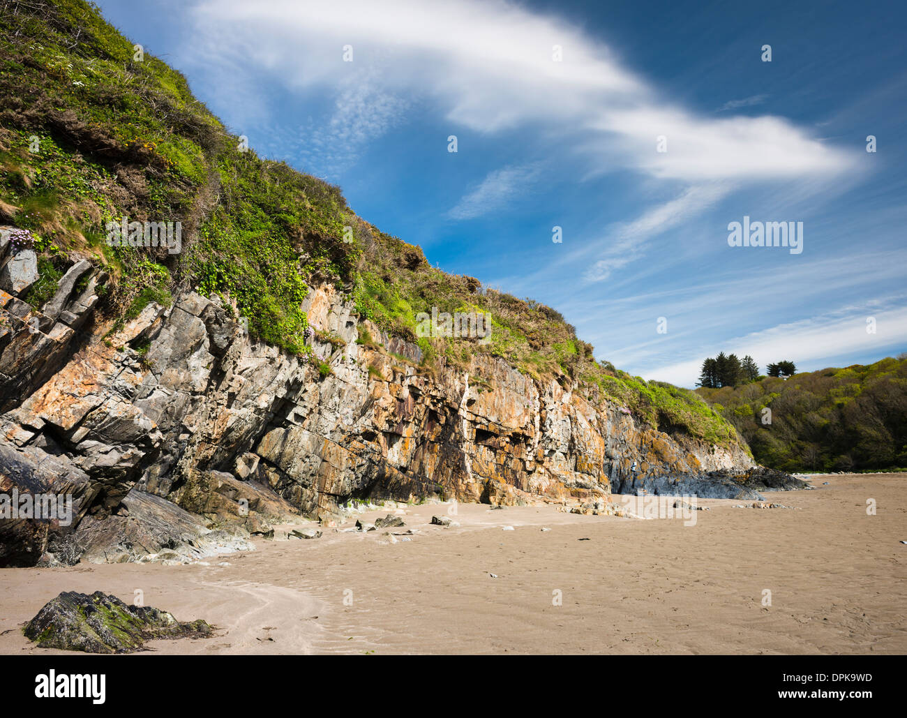 Piccole scogliere rocciose di Ordovician sedimenti marini a Stradbally Cove, nella costa di rame Geopark, nella contea di Waterford, Irlanda Foto Stock