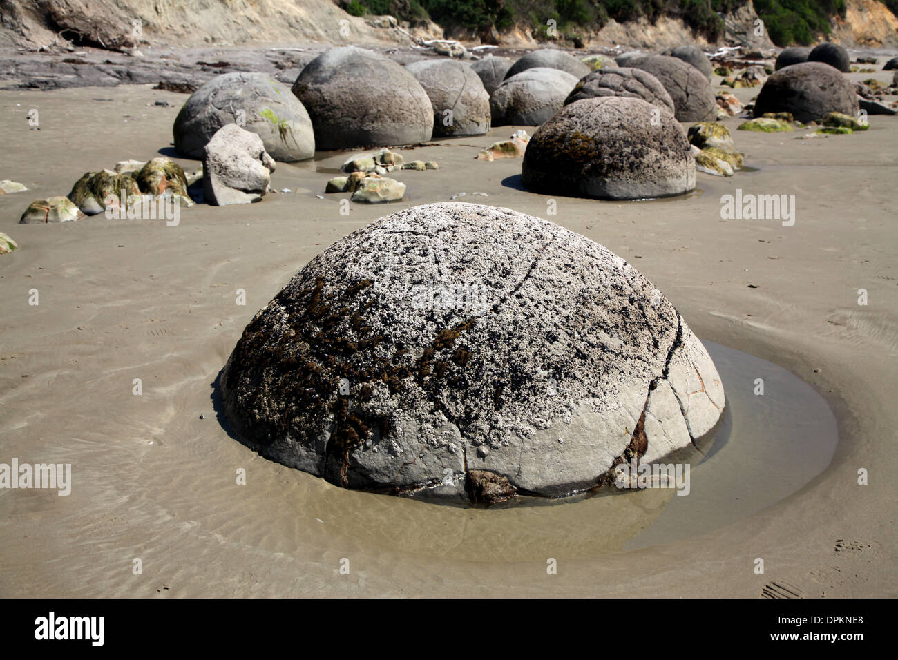 I massi Moeraki sono una meraviglia geologica e può essere visto a Koekohe spiaggia di Otago Isola del Sud della Nuova Zelanda Foto Stock