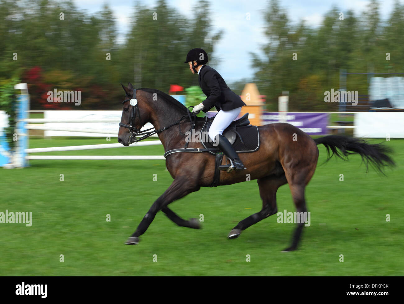 Cavallerizza in uniforme in corrispondenza di un salto show - sfocatura del movimento Foto Stock