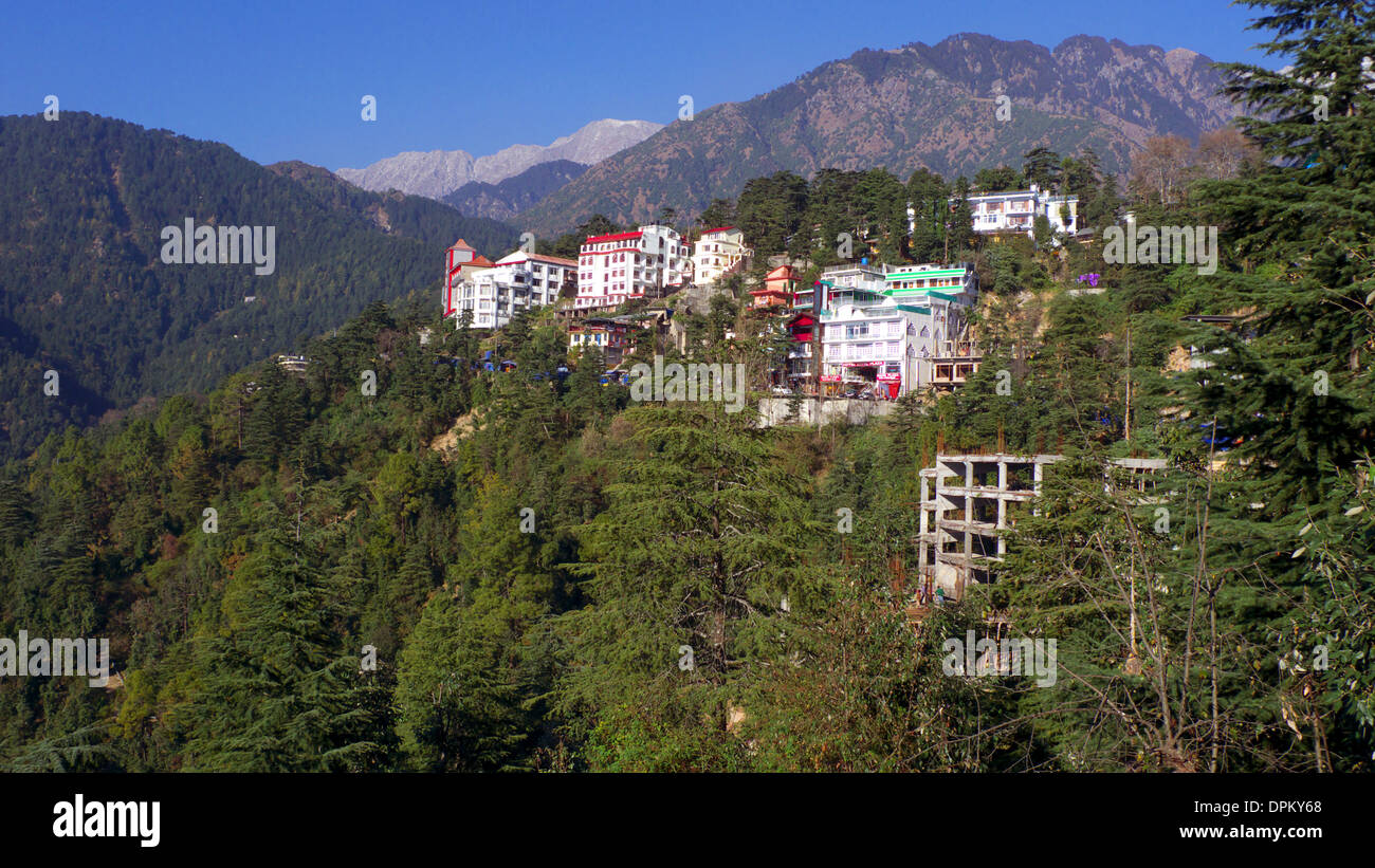 Mcleodganj/Dharamshala superiore, con Dharmakot superiore e Dhauladhar montagne al di là, Himachal Pradesh, N. India Foto Stock