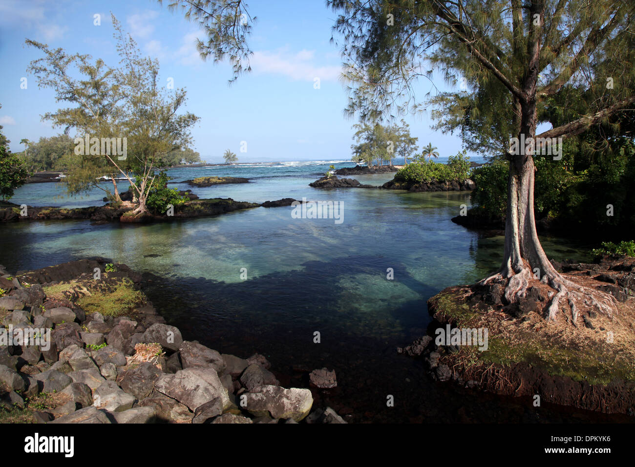 Un buon punto di nuoto nei sobborghi di Hilo dove le tartarughe entrano in acqua fresca per liberarsi dei parassiti marini Foto Stock