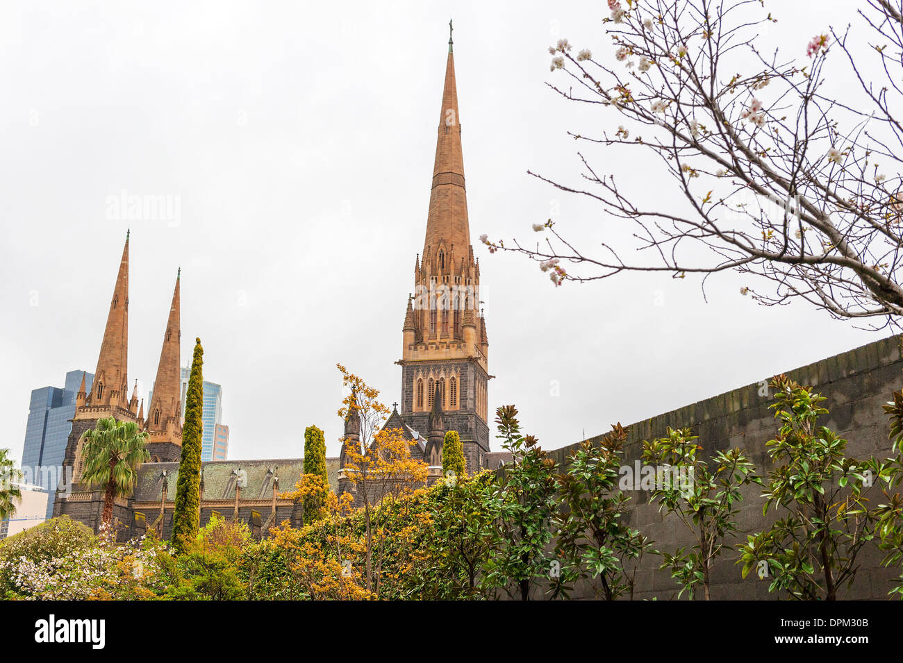 La Cattedrale di St Patrick, Melbourne, Australia Foto Stock