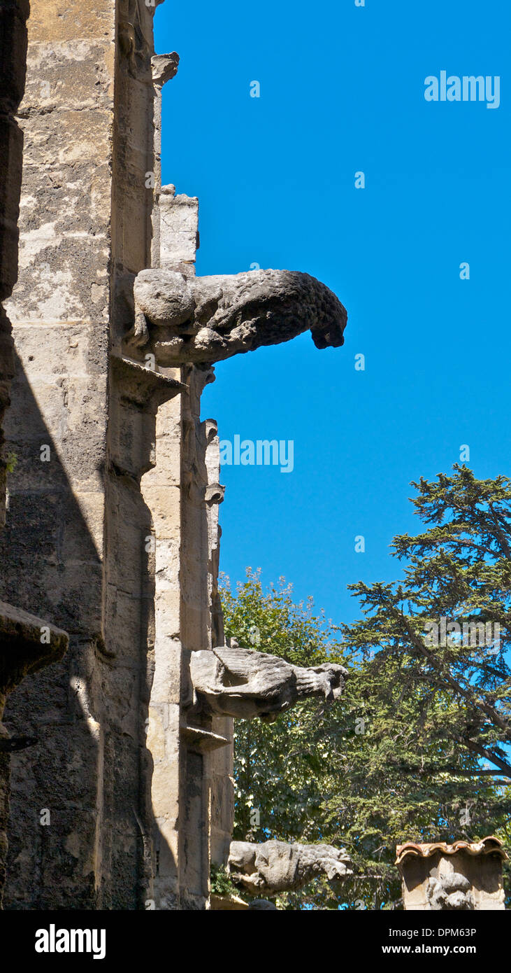 Cattedrale di Narbonne gargoyles. Foto Stock