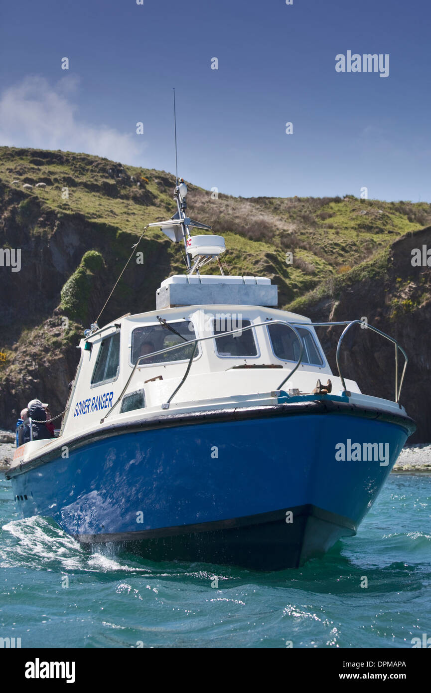 Gower Ranger imbarcazione turistica tra St Giustiniano e Ramsey Island, Pembrokeshire, Galles Foto Stock