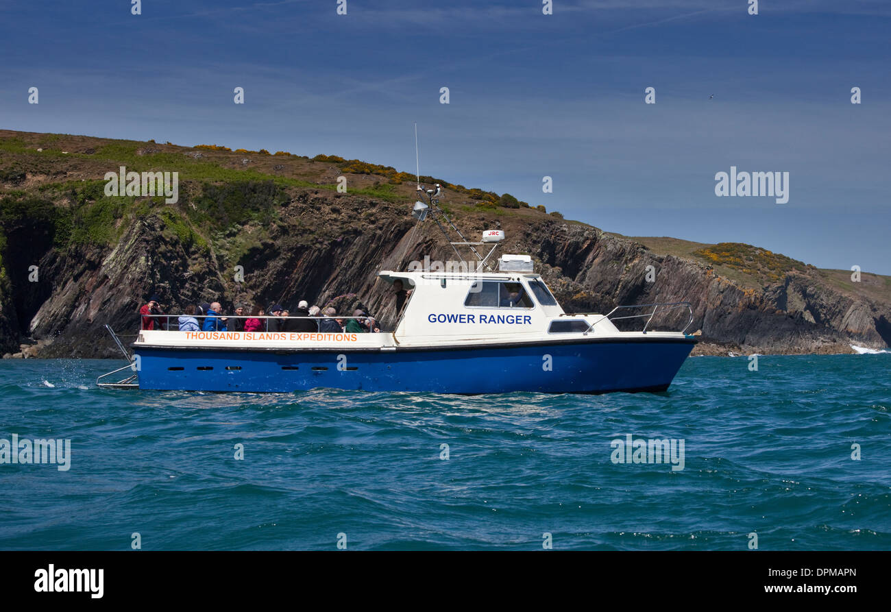 Gower Ranger imbarcazione turistica tra St Giustiniano e Ramsey Island, Pembrokeshire, Galles Foto Stock