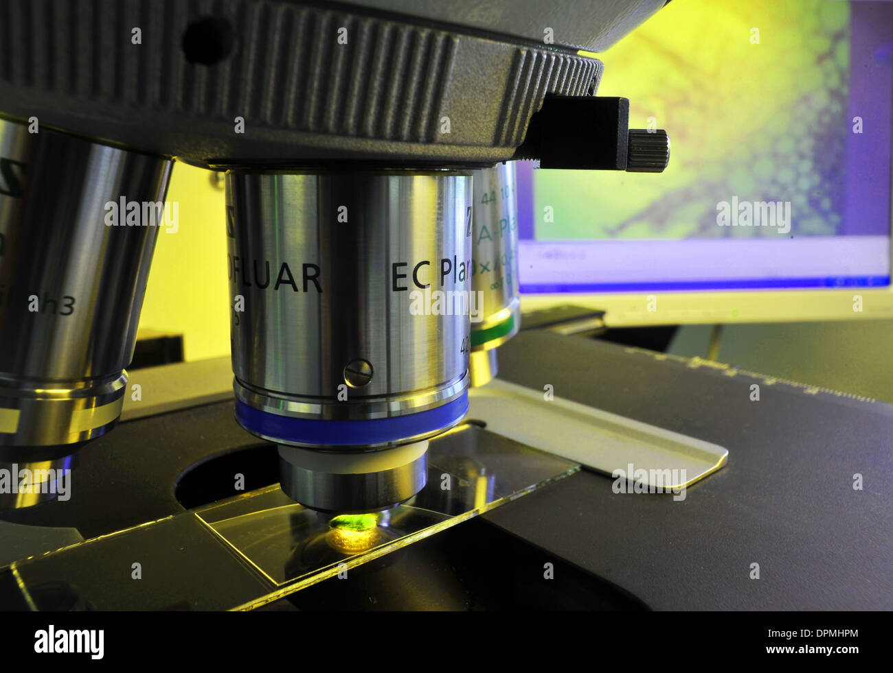 Luce microscopio con un impianto Foto Stock