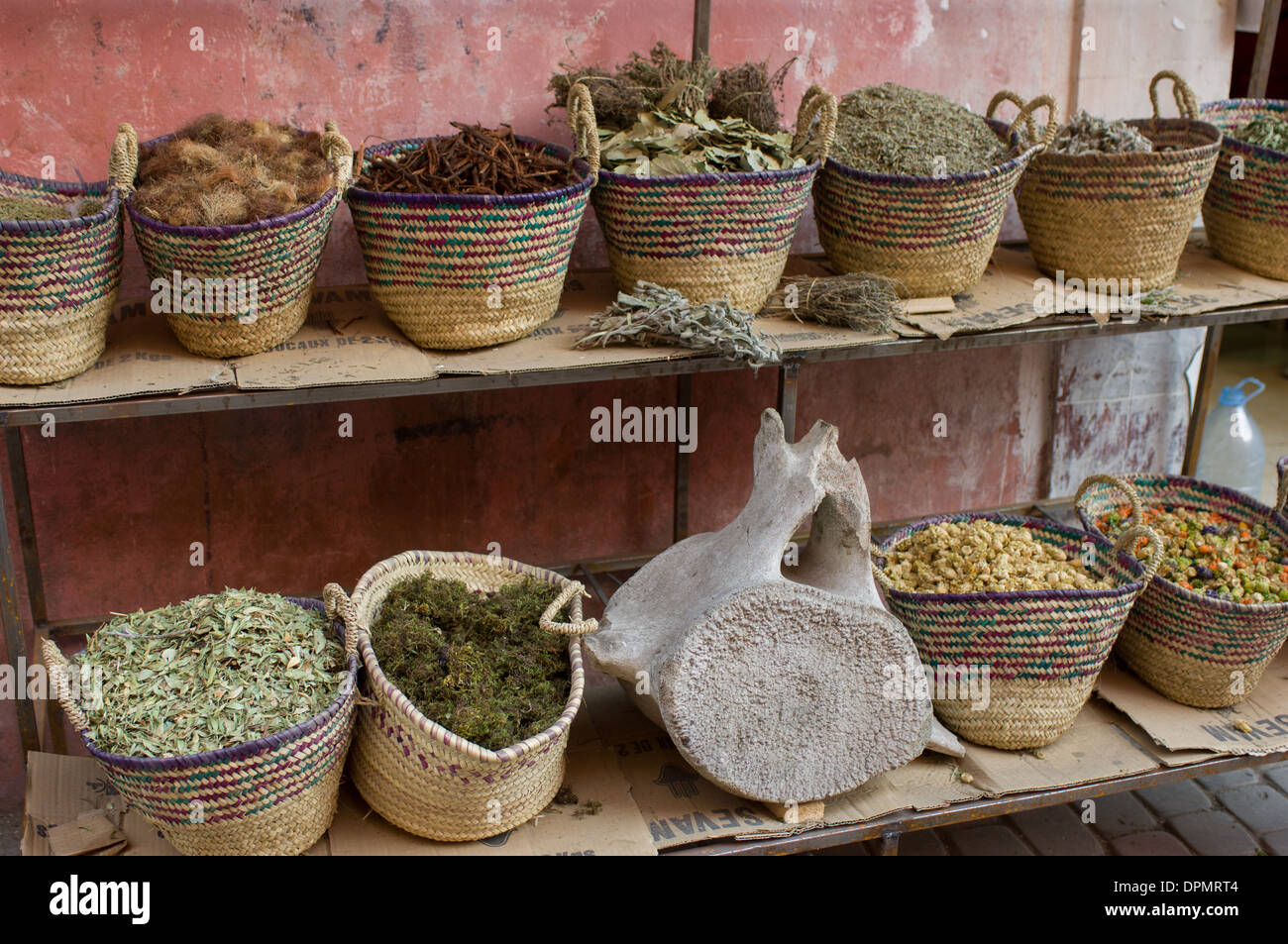 Bancarella vendendo le erbe aromatiche, le spezie e una vertebra di balena nella Medina di Marrakech, Marocco Foto Stock