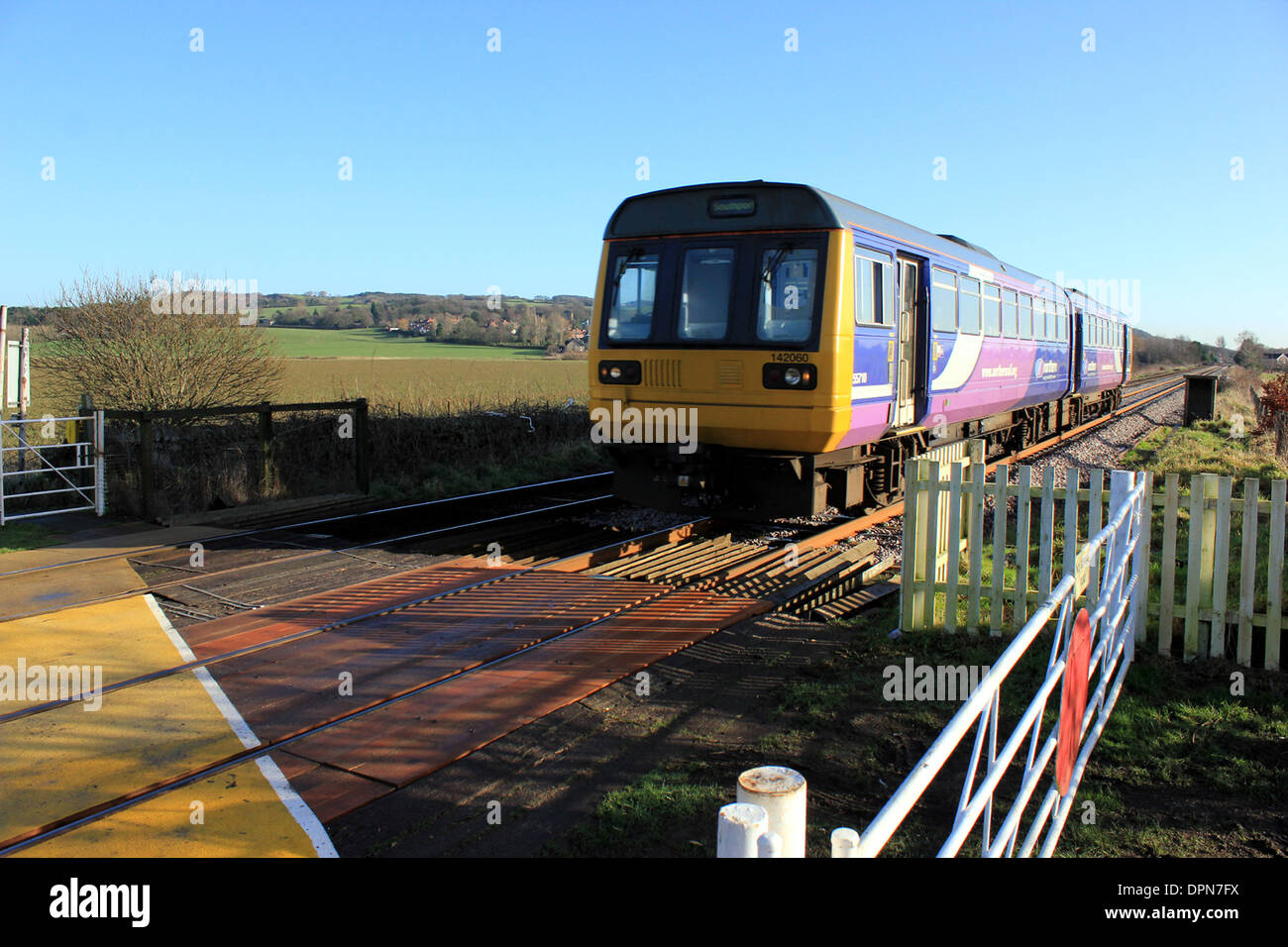 Un treno di proprietà di ferroviaria settentrionale non stimolatore142060 si avvicina ad un non presidiati di attraversamento di livello nel West Lancashire Foto Stock