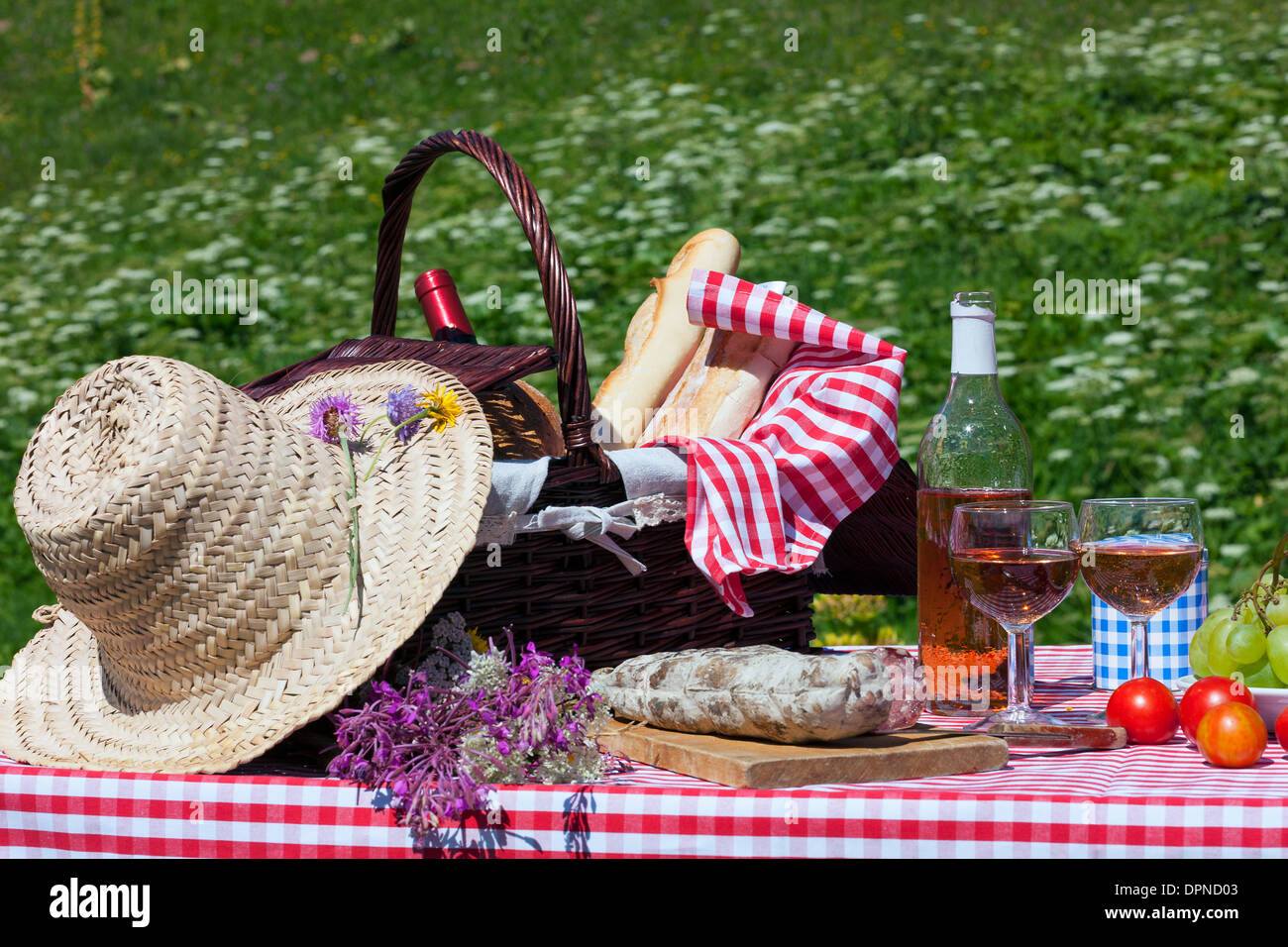 Vista del picnic in francese montagne alpine Foto Stock