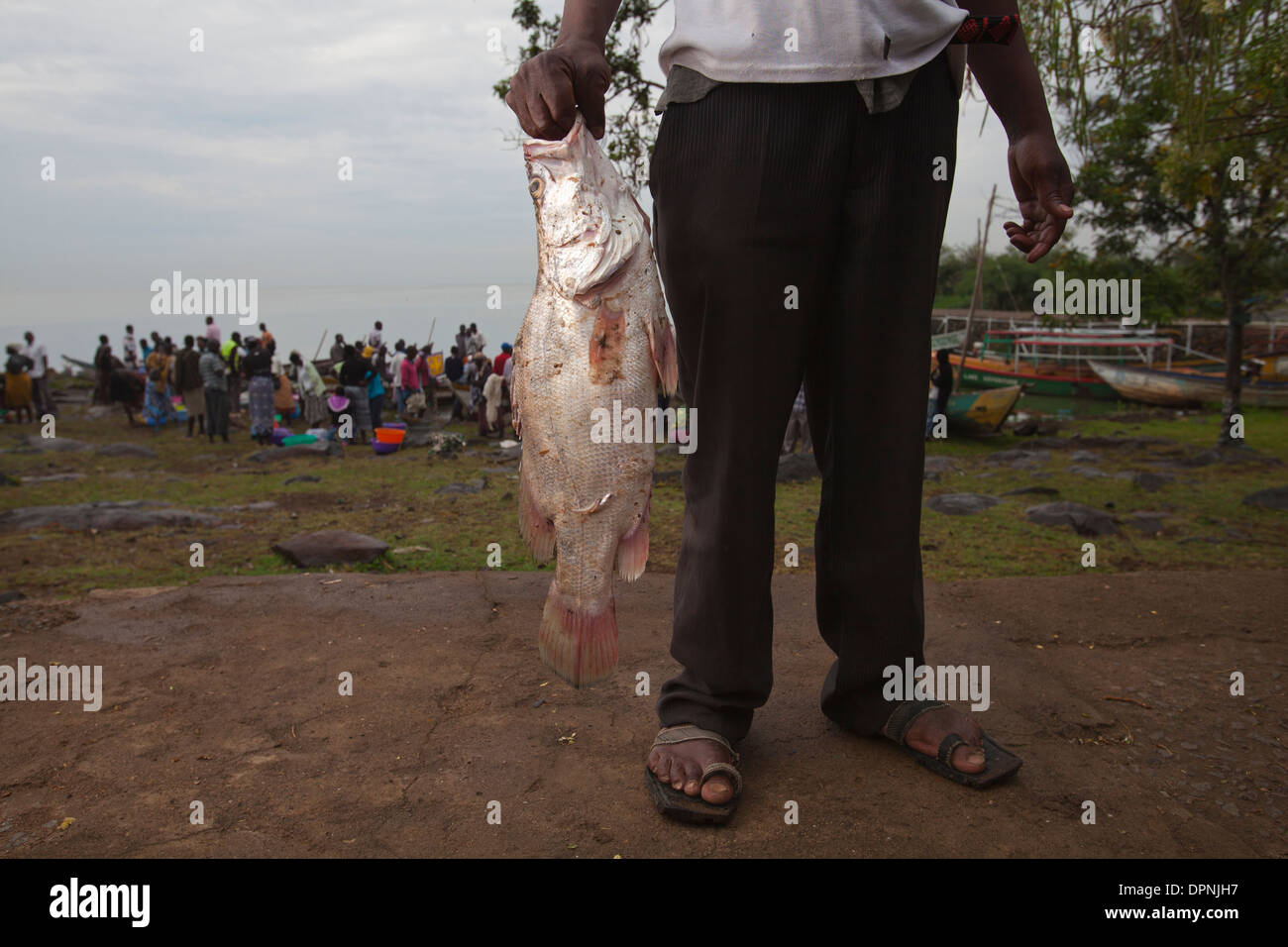 Uomo con pesce persico del Nilo (ritardatari niloticus) Kisumu, il lago Victoria, Kenya Foto Stock