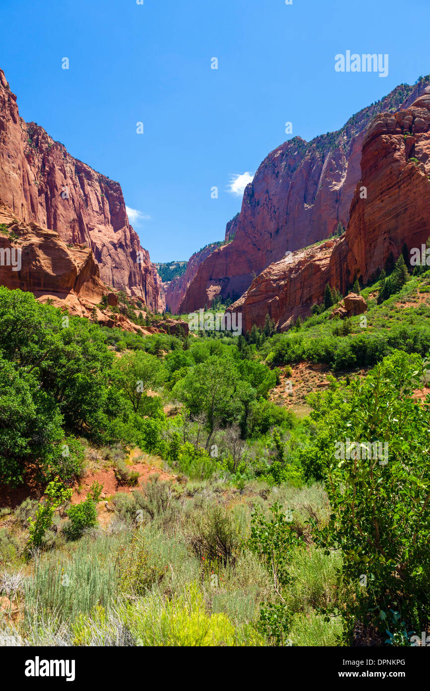 Vista da est Kolob Canyon Road nel Kolob Canyon sezione del Parco Nazionale di Zion, Utah, Stati Uniti d'America Foto Stock