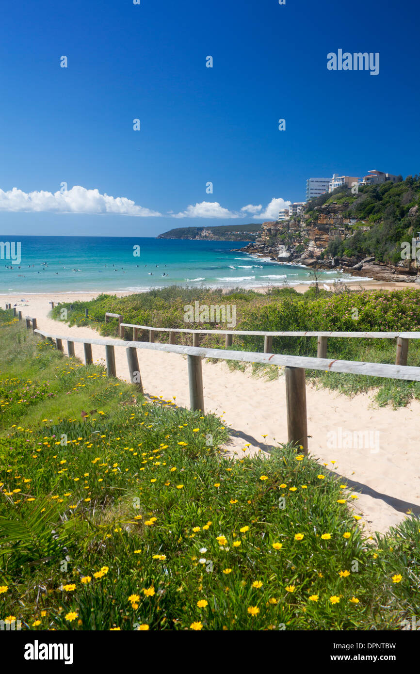 Spiaggia di acqua dolce spiagge settentrionali Warringah Sydney New South Wales AUSTRALIA Foto Stock