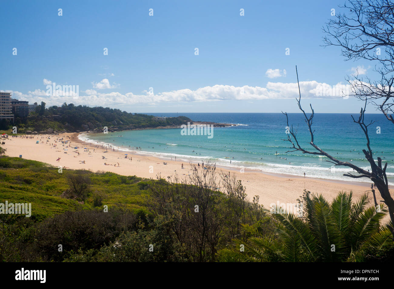Spiaggia di acqua dolce con surfers in oceano spiagge settentrionali Warringah Sydney New South Wales AUSTRALIA Foto Stock