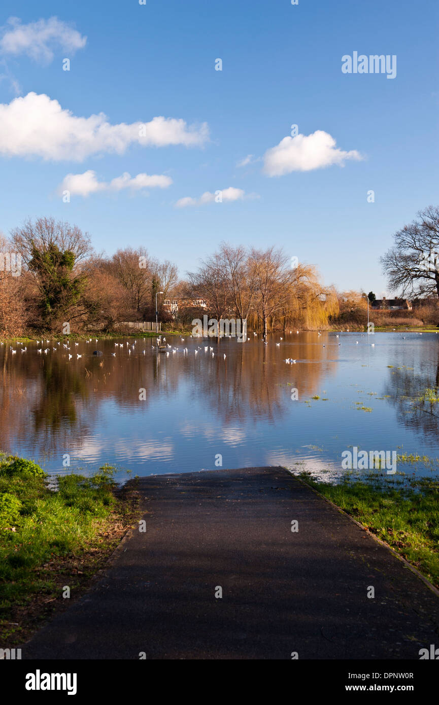 In un invaso Parco Eastworth off road Chertsey Surrey in Inghilterra REGNO UNITO Foto Stock