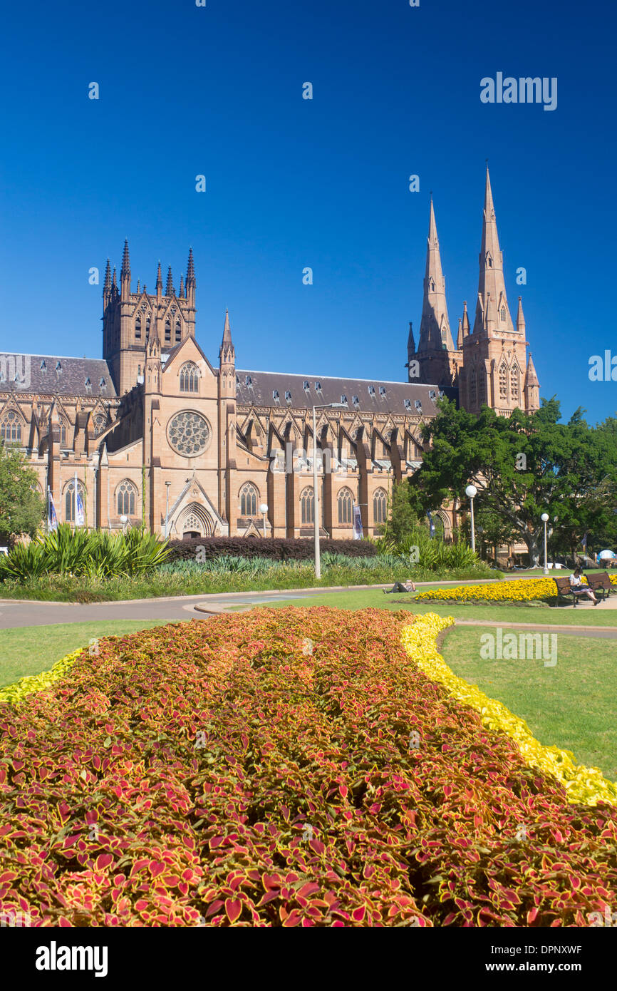 St Mary Cattedrale cattolica romana da Hyde Park Il dominio Sydney New South Wales NSW Australia Foto Stock