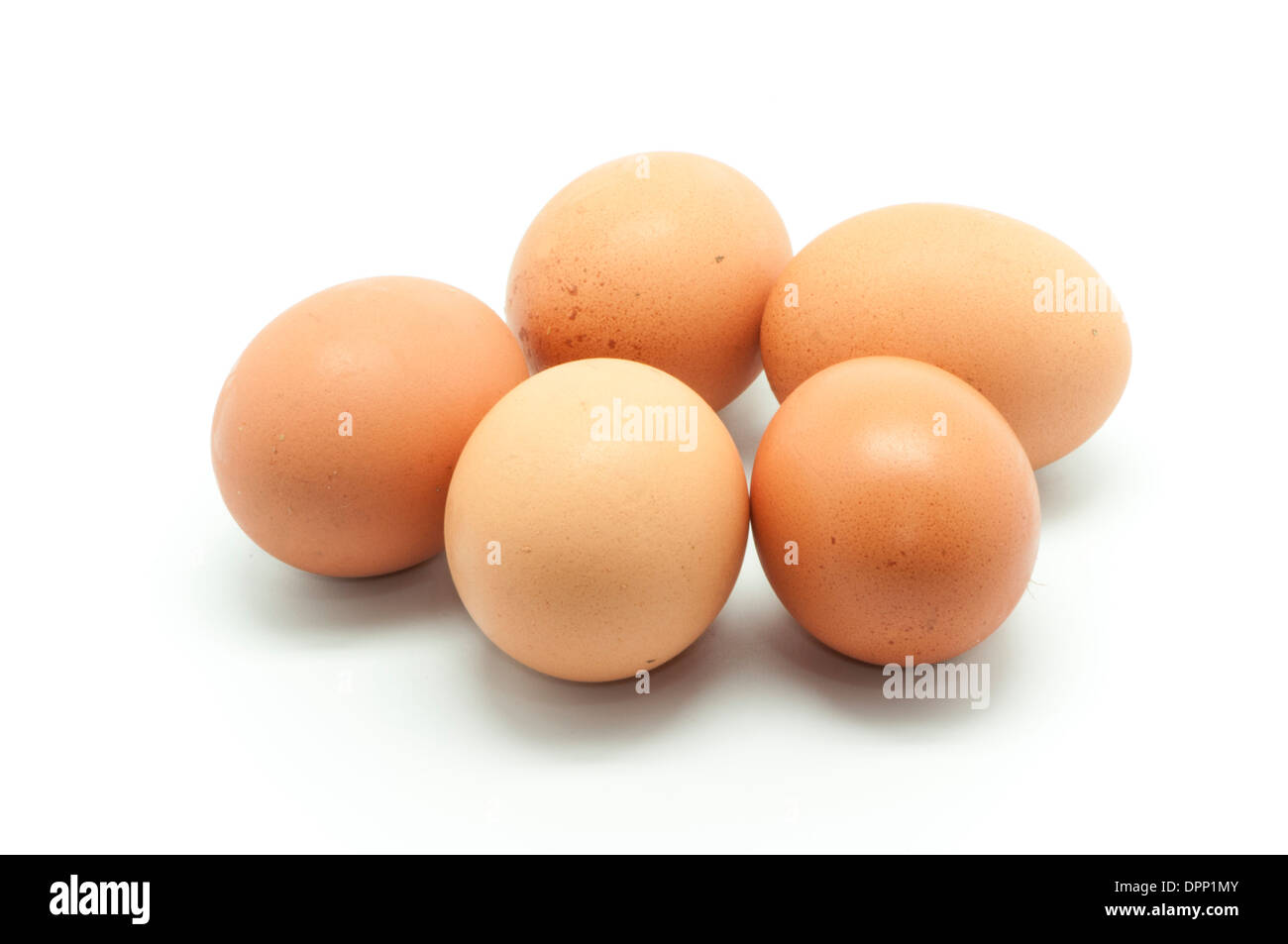 Uova di gallina su sfondo bianco Foto Stock