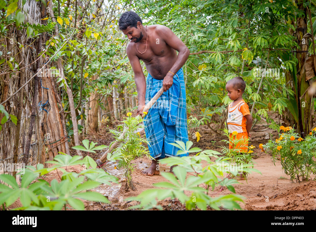 Agricoltore routing trincea di irrigazione nel suo giardino mentre suo figlio orologi, Mullaitivu District, provincia settentrionale, Sri Lanka. Foto Stock