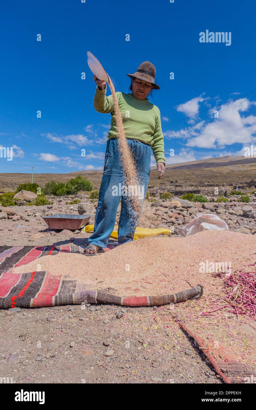 Una donna boliviana agricoltore quinoa elaborazione per rimuovere il rivestimento contenente il bitter-degustazione saponine in un piccolo villaggio. Foto Stock
