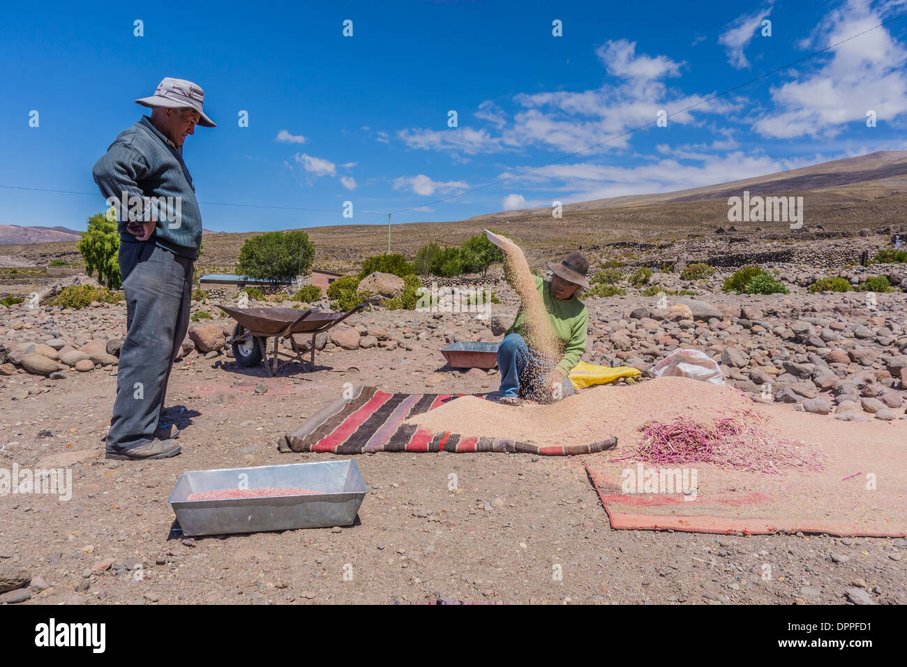 Un marito guarda la moglie di quinoa di processo su ther farm Boliviana per rimuovere il rivestimento contenente bitter-degustazione saponine. Foto Stock