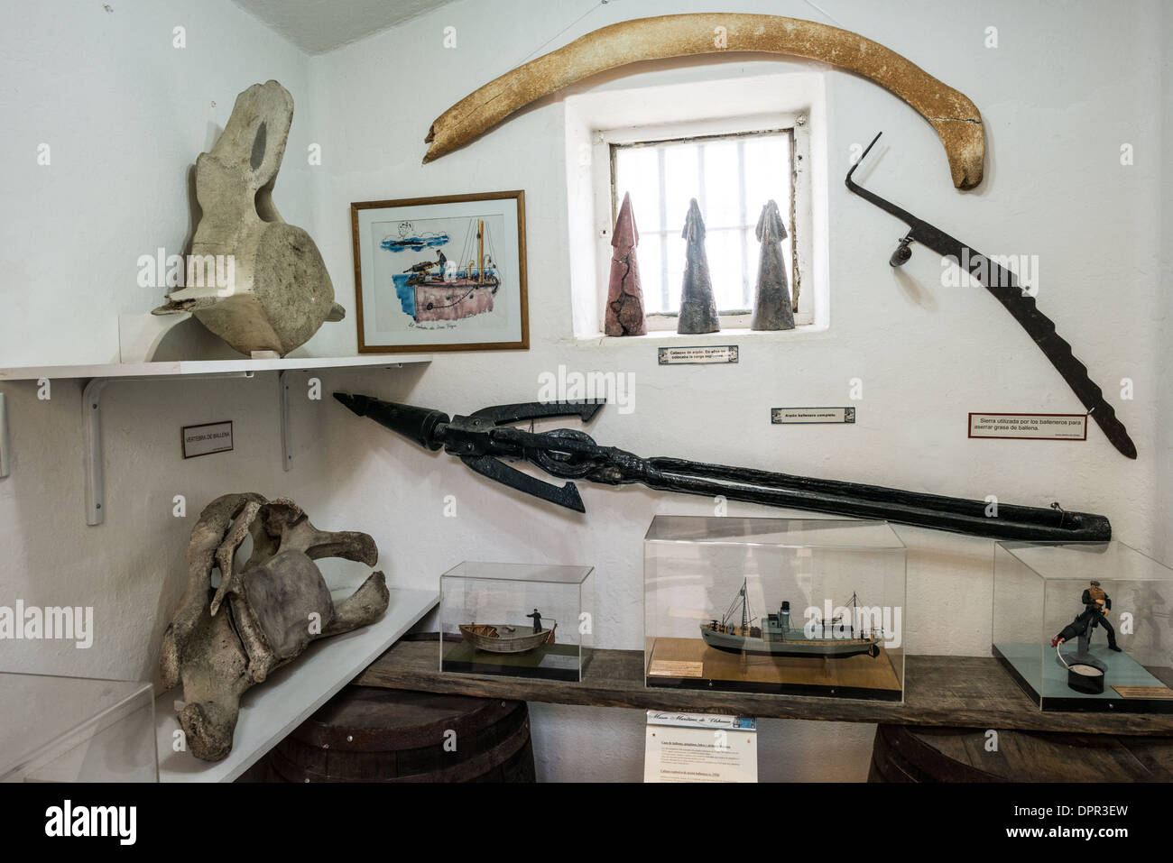 Museo marittimo di Ushuaia artefatti della caccia alle balene Ushuaia Argentina // USHUAIA, Argentina — manufatti storici della caccia alle balene, tra cui un arpione e ossa di balena, fanno parte della collezione marittima antartica presso il Museo marittimo di Ushuaia. Le mostre, ospitate in un'ex cella carceraria, documentano la storia dell'industria baleniera della regione. Il museo, istituito nell'edificio carcerario della città del 1902, conserva sia manufatti marittimi che l'architettura penitenziaria originale. Foto Stock