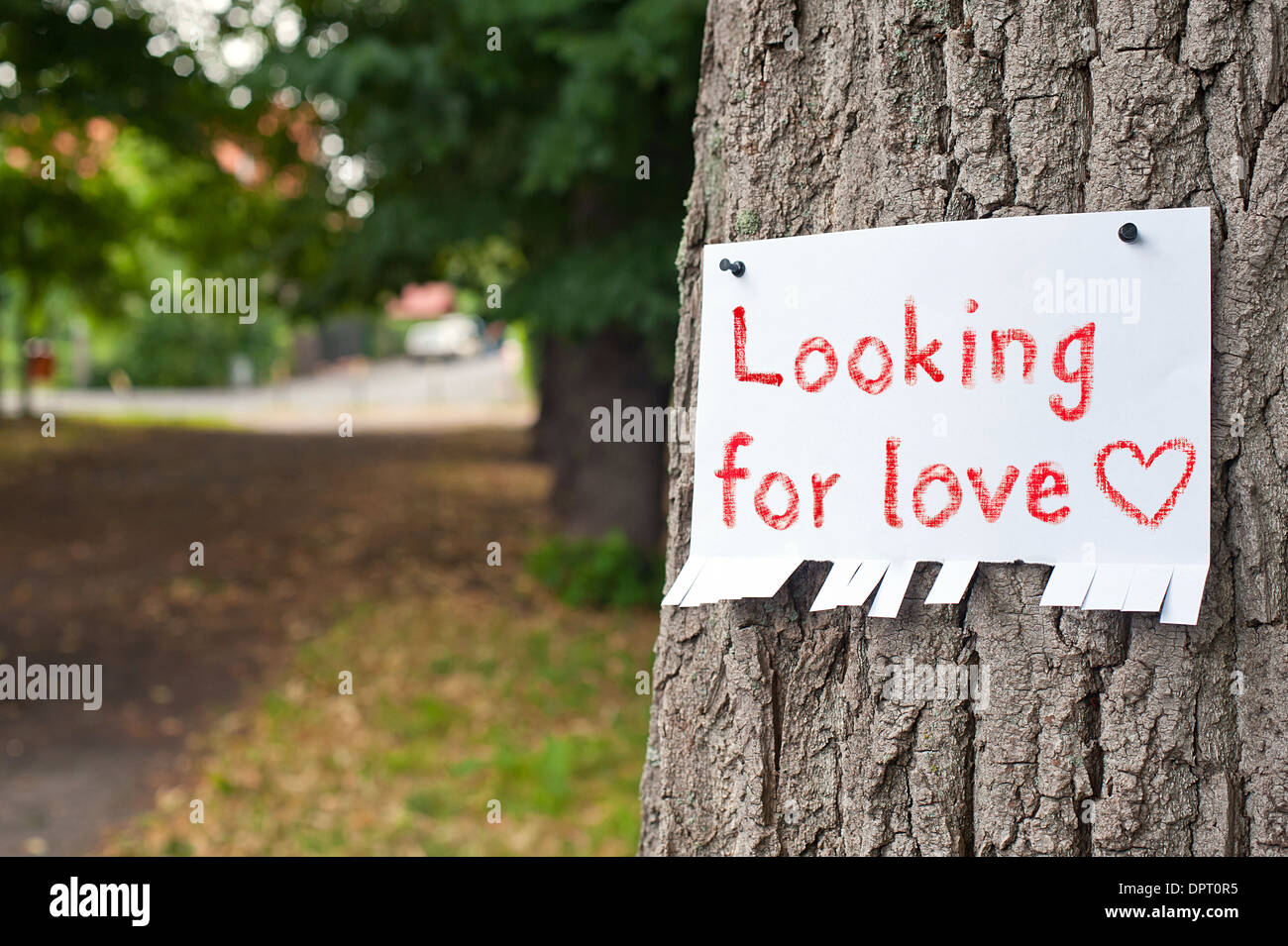 Annuncio con ricerca di amore iscrizione Foto Stock