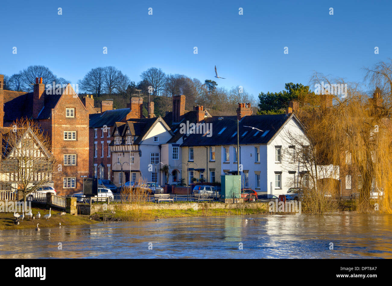 Livello di acqua alta sul fiume Severn, Bewdley, Worcestershire, Inghilterra. Foto Stock
