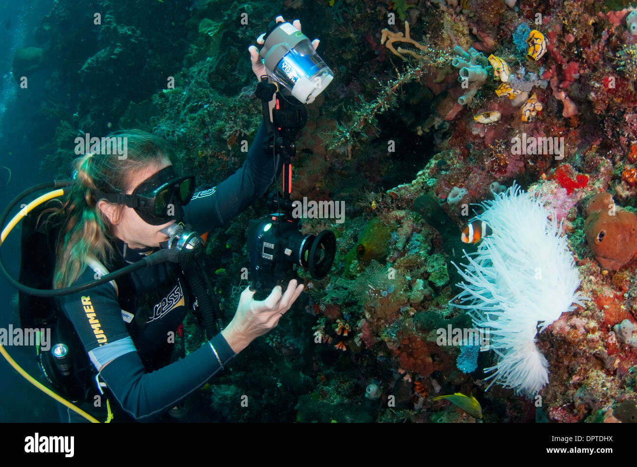 Fotografo subacqueo con anemonefish, Bunaken, Manado, Nord Sulewesi, Indonesia. Foto Stock