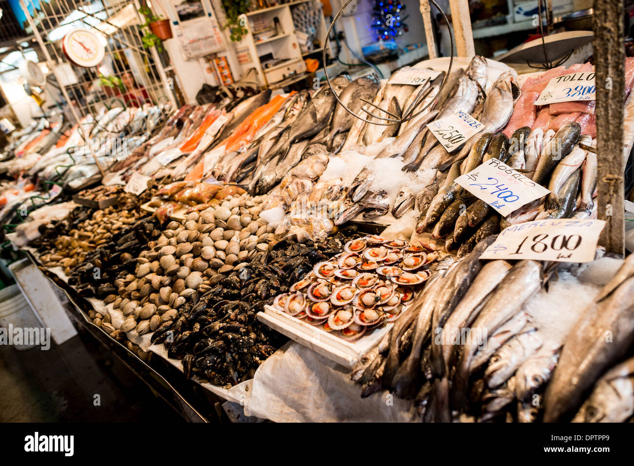 Pesce e crostacei al Mercado Central Santiago Cile // SANTIAGO, Cile - i venditori al Mercado Central espongono catture fresche, tra cui tollo, nasello e rogalo, oltre a varietà di crostacei come capesante, vongole e ostriche. Lo storico mercato è il principale centro di pesce di Santiago, che mette in mostra il variegato raccolto marino del Cile. L'architettura in ghisa dell'edificio del diciannovesimo secolo crea un ambiente iconico per questo commercio quotidiano di pesce. Foto Stock
