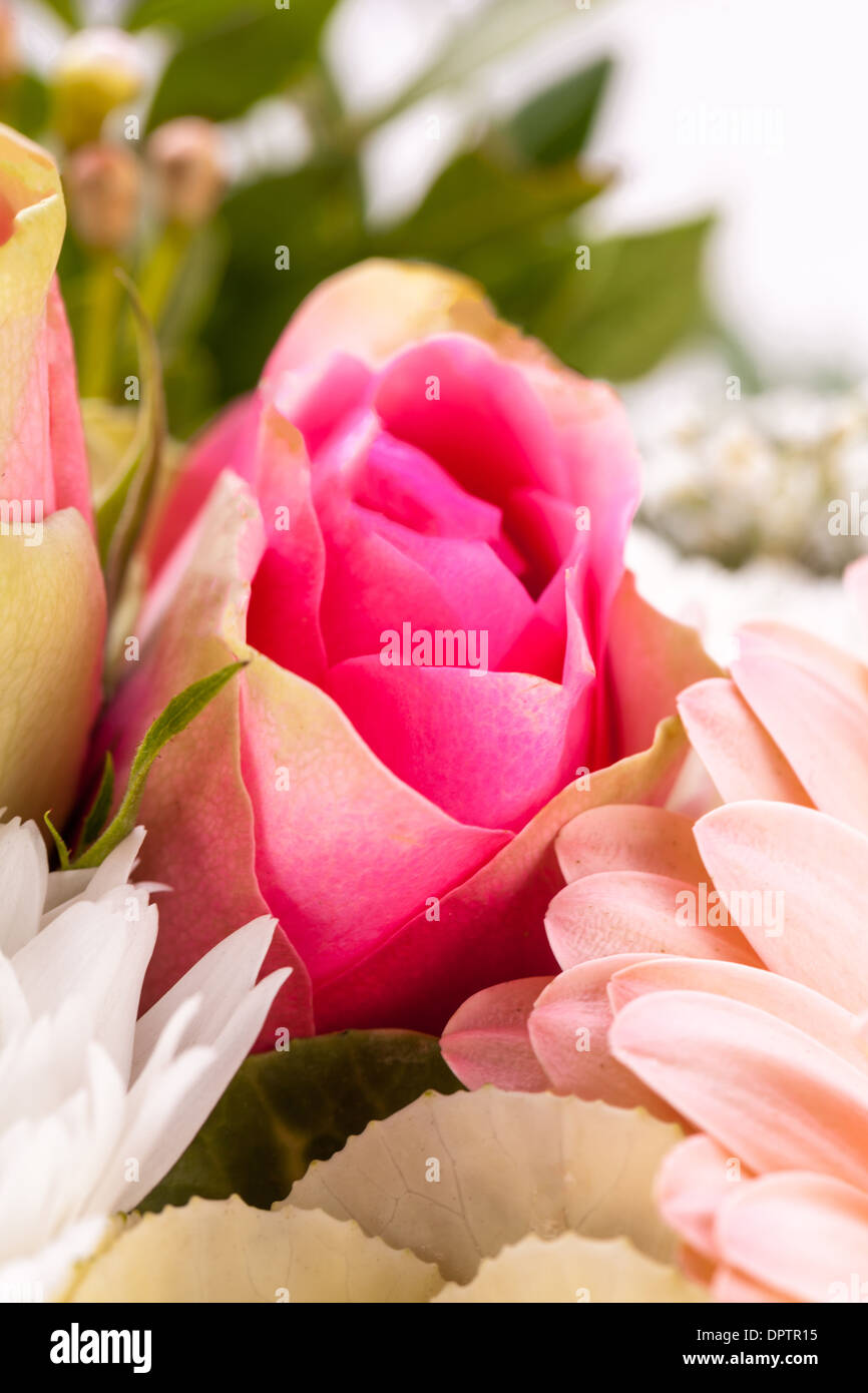 Mazzo di fiori freschi di fiori rosa e bianchi con una gerbera daisy, dahlia e rose in una vista ravvicinata come sfondo per celebrare la festa della mamma, un compleanno, un anniversario di San Valentino o un'occasione speciale Foto Stock
