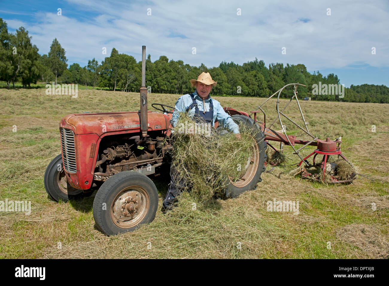 Agricoltore Jimmy Yule con il suo 1960 Massey Fergusson trattore controllare il fieno raccolto. SCO 9226 Foto Stock
