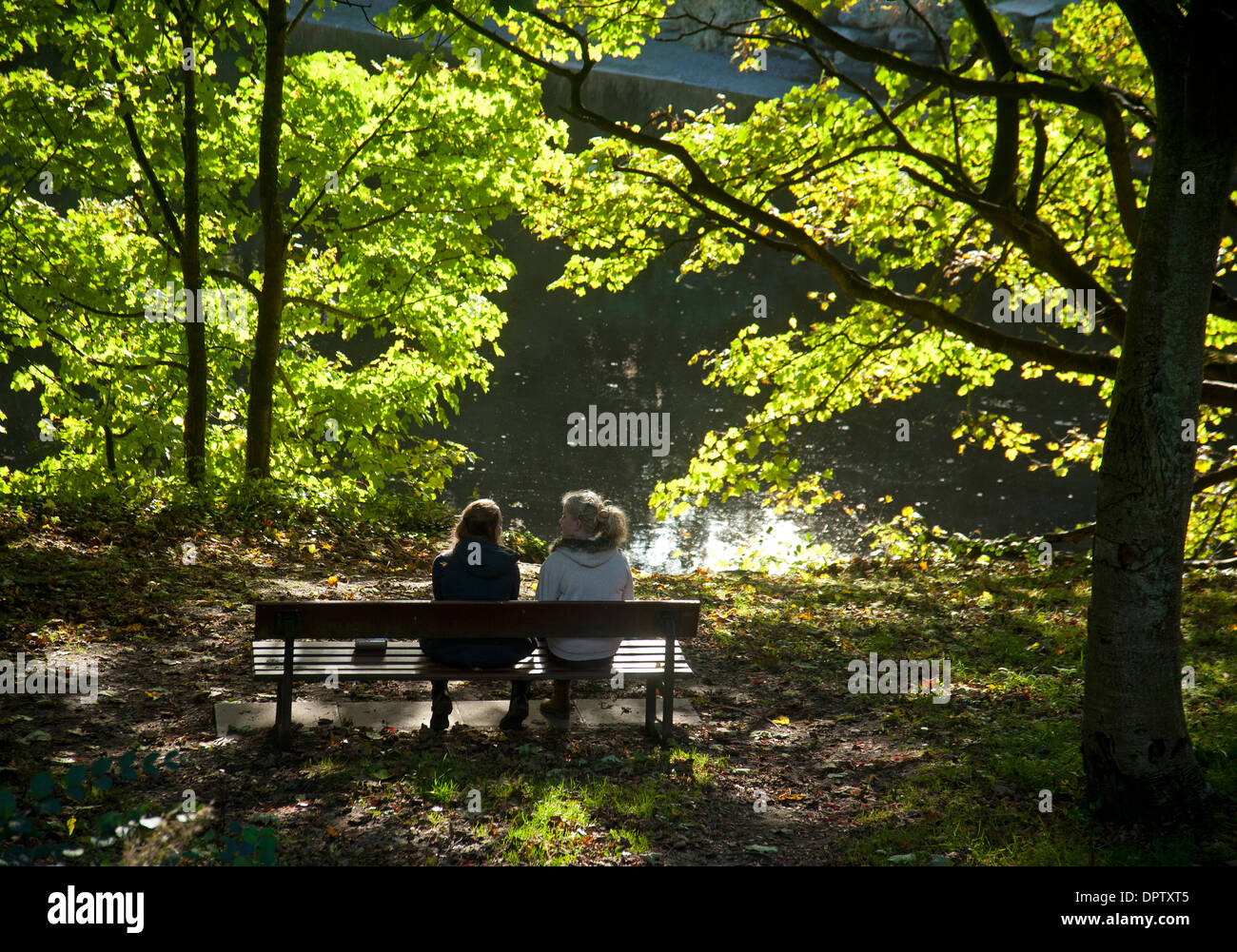 Un famoso Riverside bosco a piedi dal fiume Don, Aberdeen. Grampian. La Scozia. SCO 9220. Foto Stock