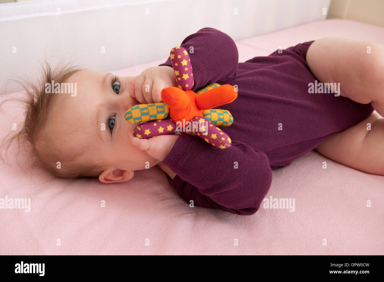 Bambina che giace nella sua culla e giocare con un giocattolo morbido Foto Stock