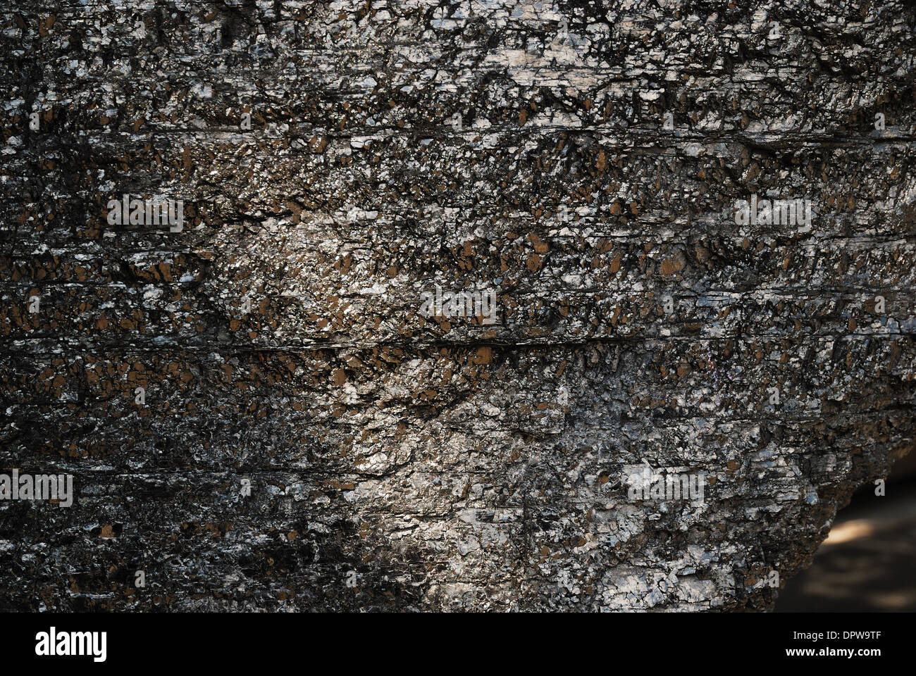 Grumo di carbone nelle vicinanze Foto Stock