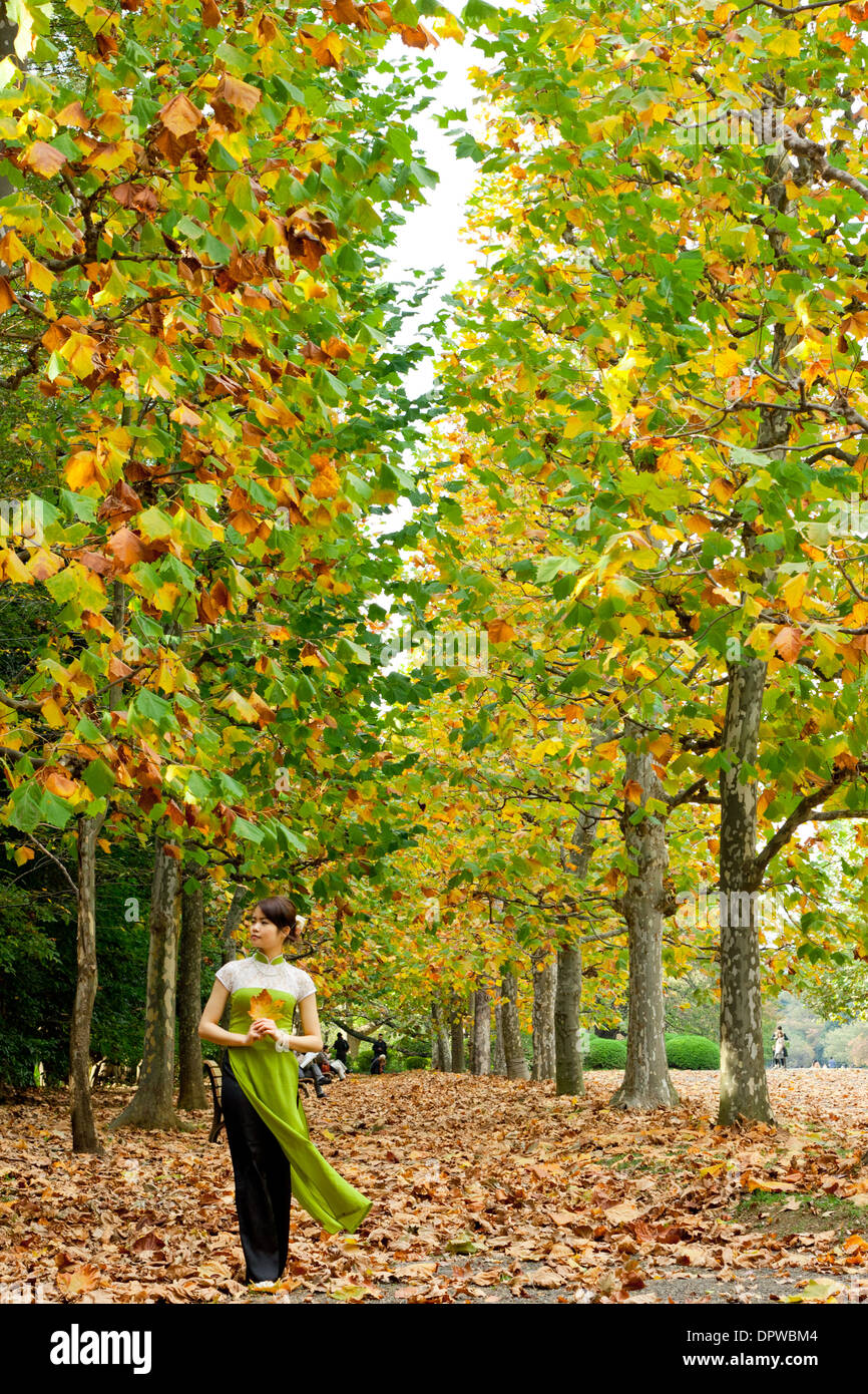 Giovane donna che cammina da sola su un percorso autunnale coperto di foglie tra alberi autunnali che trattengono foglie Foto Stock