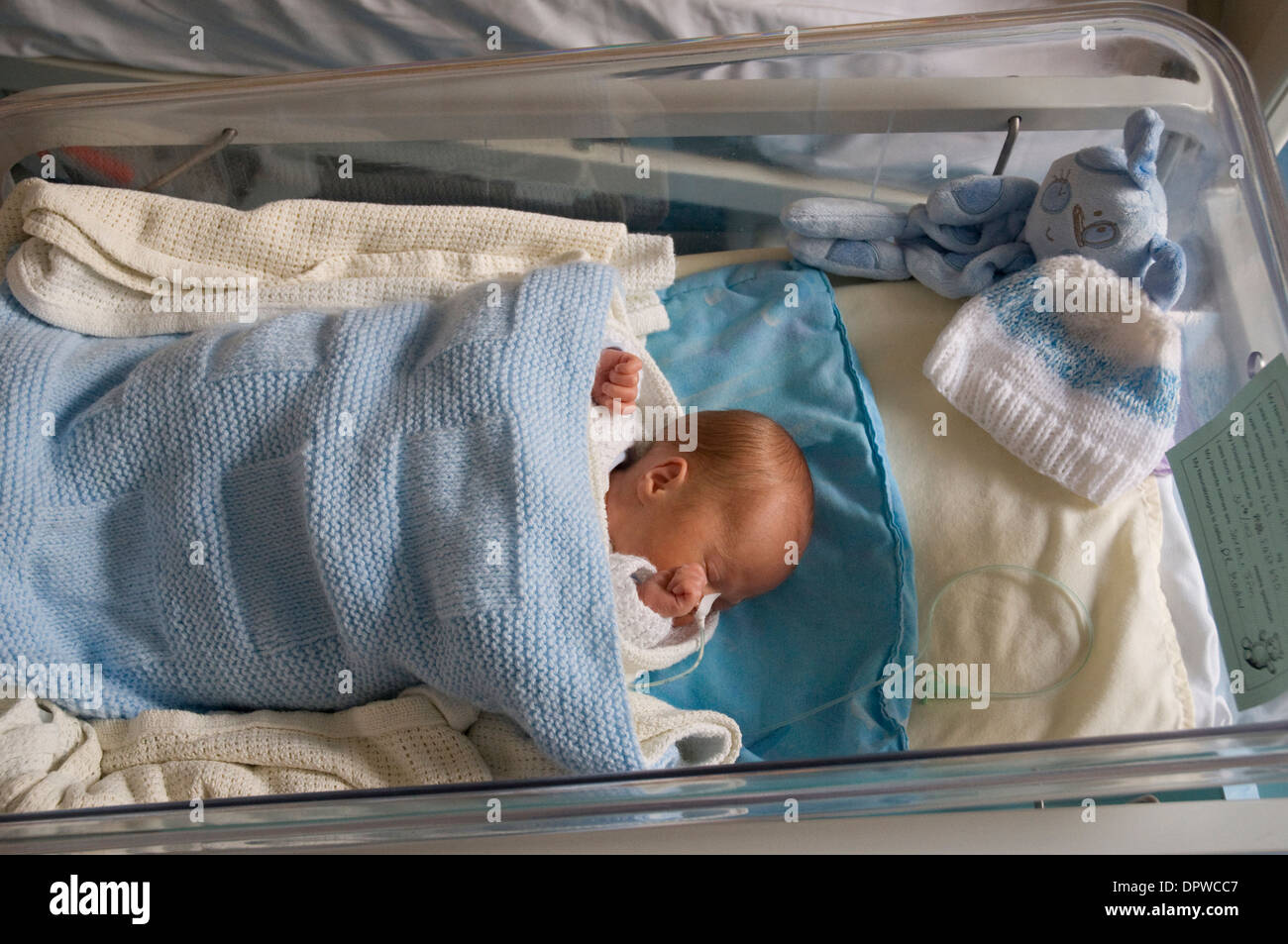 Neonato premature baby boy in lettino di ospedale con un tubo di  alimentazione collegata al suo naso Foto stock - Alamy