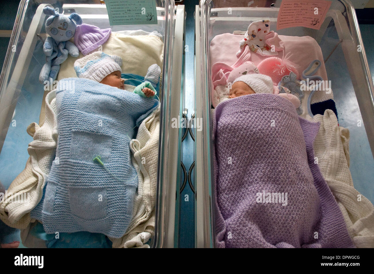 Gemelli prematuri, baby boy e baby girl in lettini ospedalieri con un tubo di alimentazione attaccato ai loro nasi Foto Stock