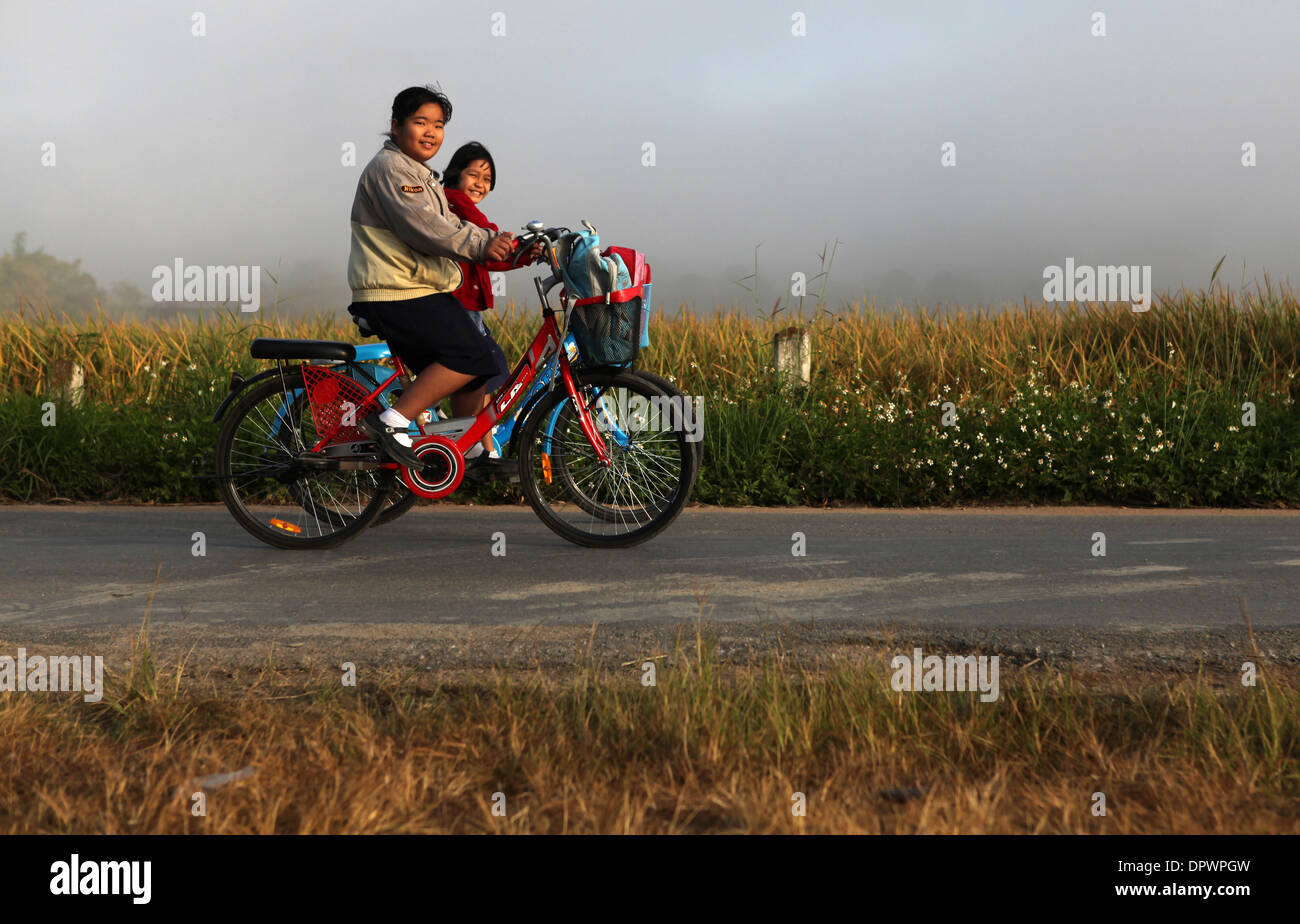 La scuola dei bambini ciclo a scuola nelle prime ore del mattino, tramite la strada di taglio attraverso il riso campi padi. Foto Stock