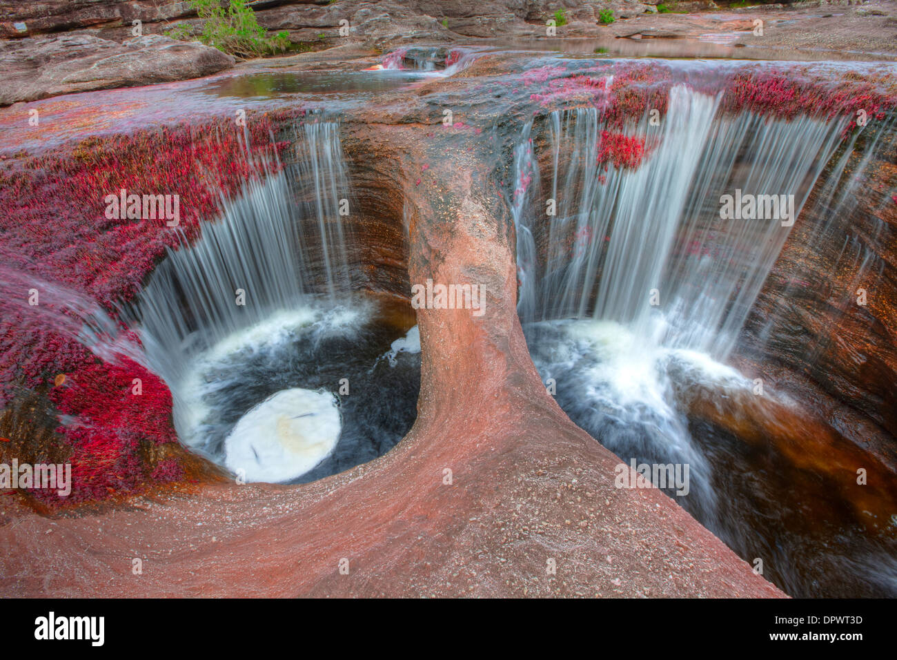 La cascata e colori vegetali a Cano Cristales Colombia piante sottomarine Macarenia clarigera endemica al piccolo ruscello Llano area Foto Stock