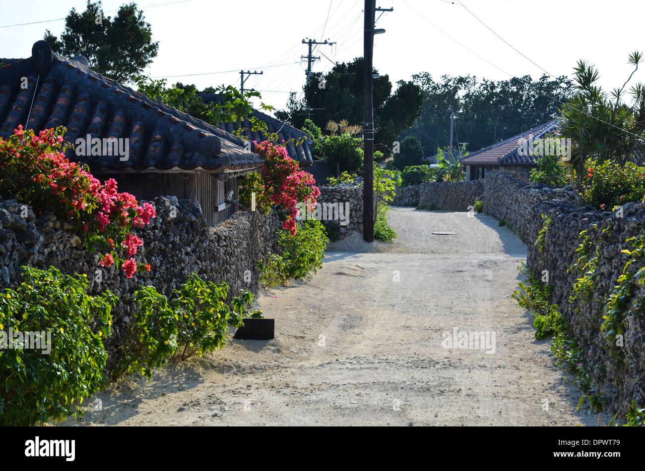 Old Street presso l'isola tropicale di Taketomi in Giappone Foto Stock