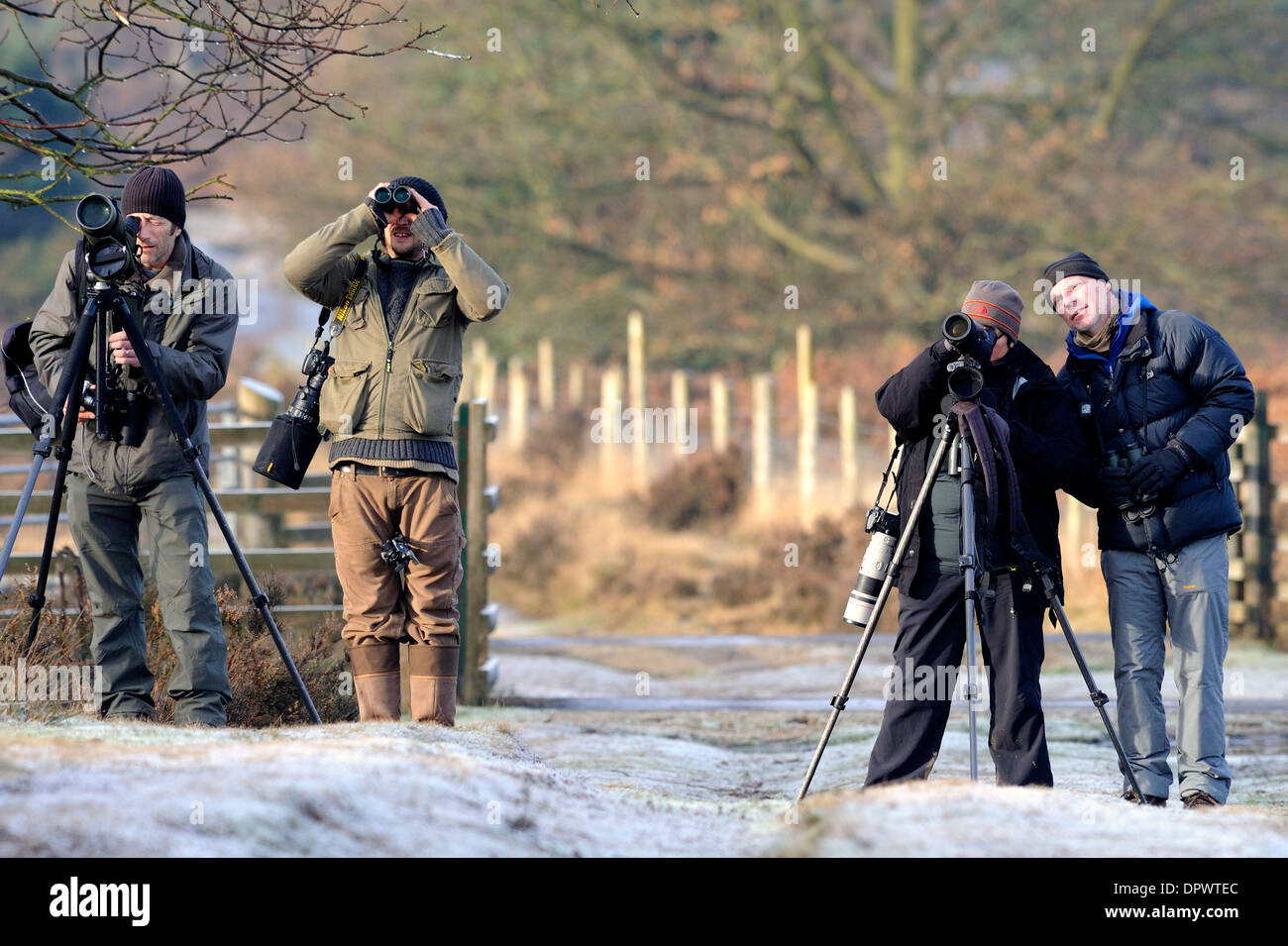 Maschio di bird-watching o contrazioni muscolari con scopi e telecamere. Foto Stock